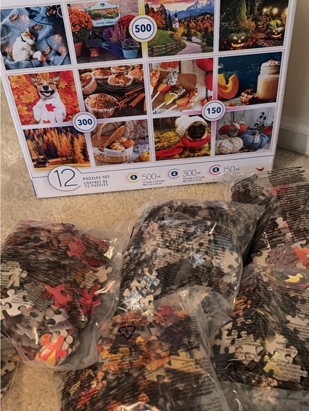 NEW Autumn Puzzle Gift Set - Fall Colors - 12-Pack Assorted Jigsaw Puzzles